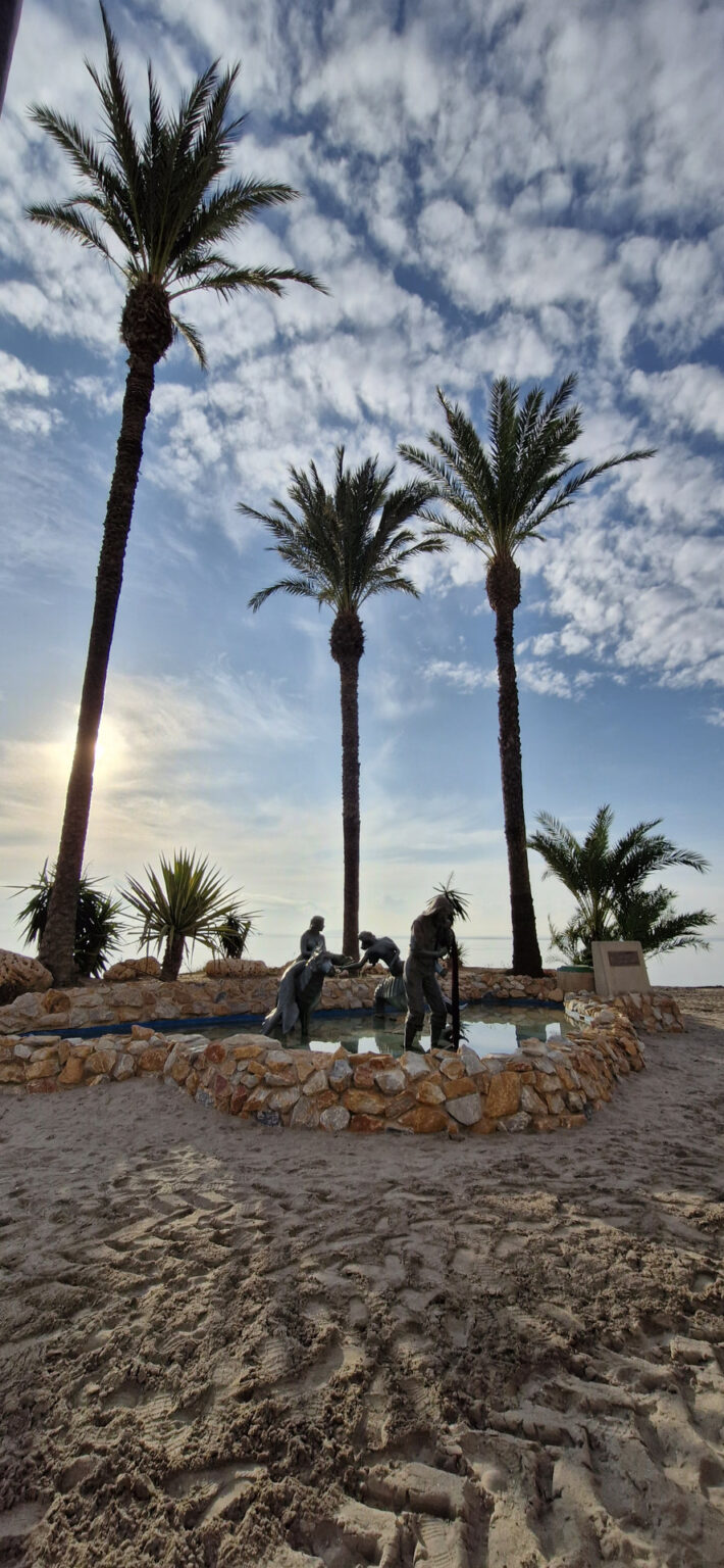 Casas La Vida -La Siesta 09